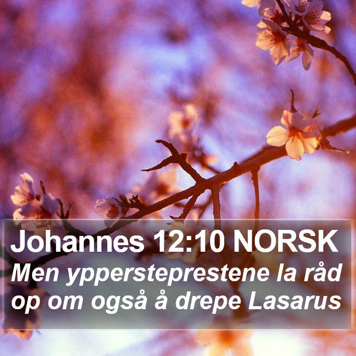 Johannes 12:10 NORSK Bible Study