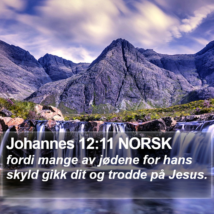 Johannes 12:11 NORSK Bible Study