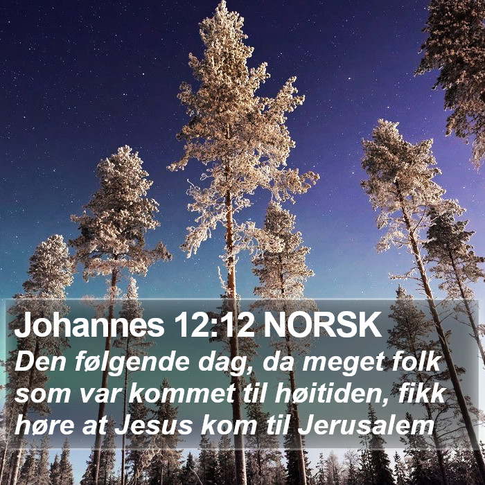 Johannes 12:12 NORSK Bible Study