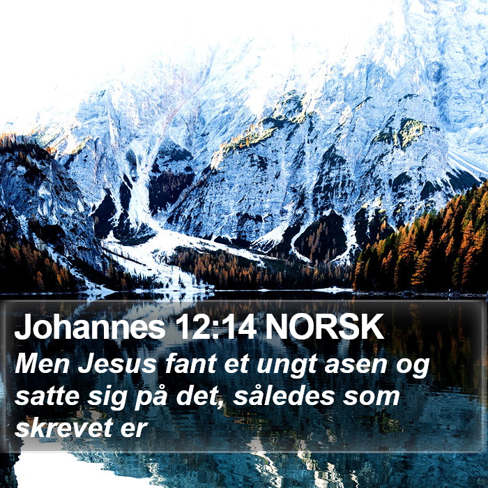 Johannes 12:14 NORSK Bible Study