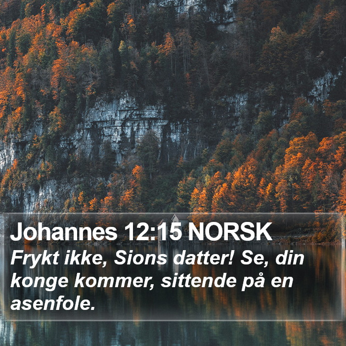 Johannes 12:15 NORSK Bible Study