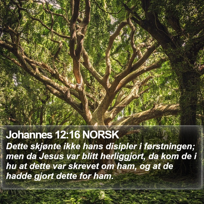 Johannes 12:16 NORSK Bible Study