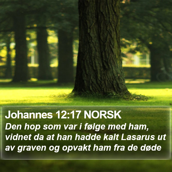 Johannes 12:17 NORSK Bible Study