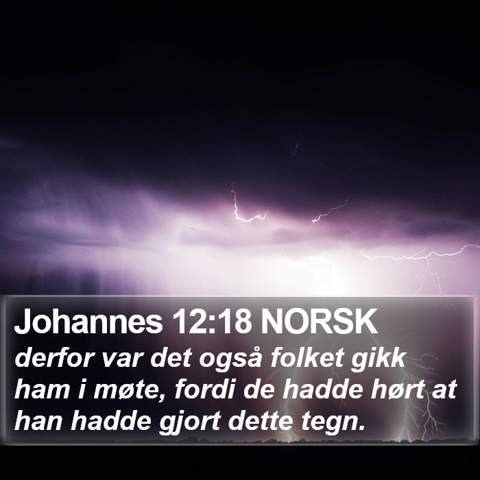 Johannes 12:18 NORSK Bible Study