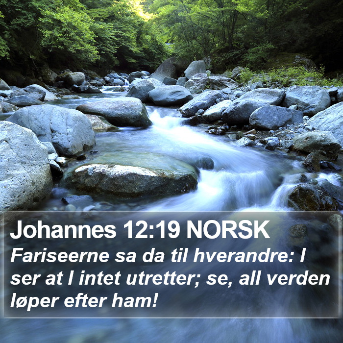 Johannes 12:19 NORSK Bible Study