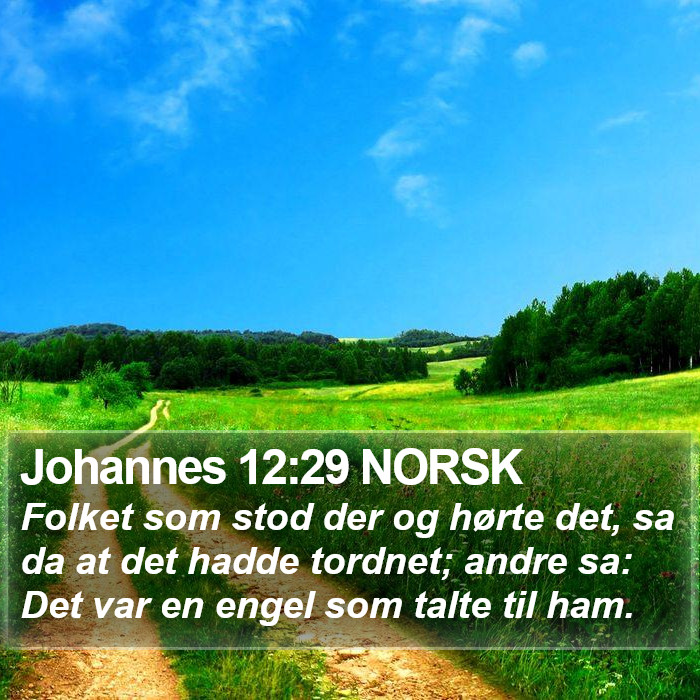 Johannes 12:29 NORSK Bible Study