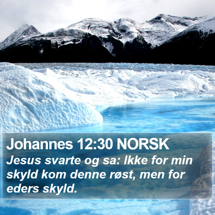 Johannes 12:30 NORSK Bible Study