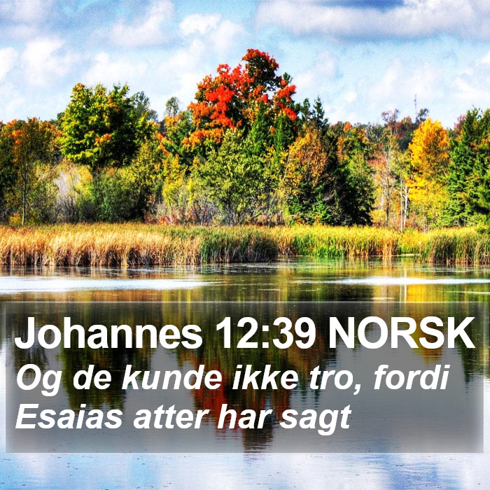 Johannes 12:39 NORSK Bible Study