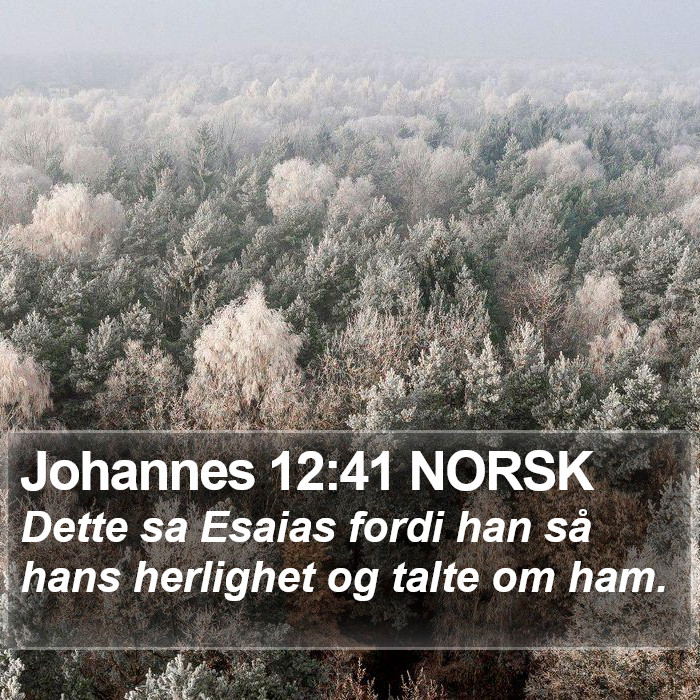 Johannes 12:41 NORSK Bible Study