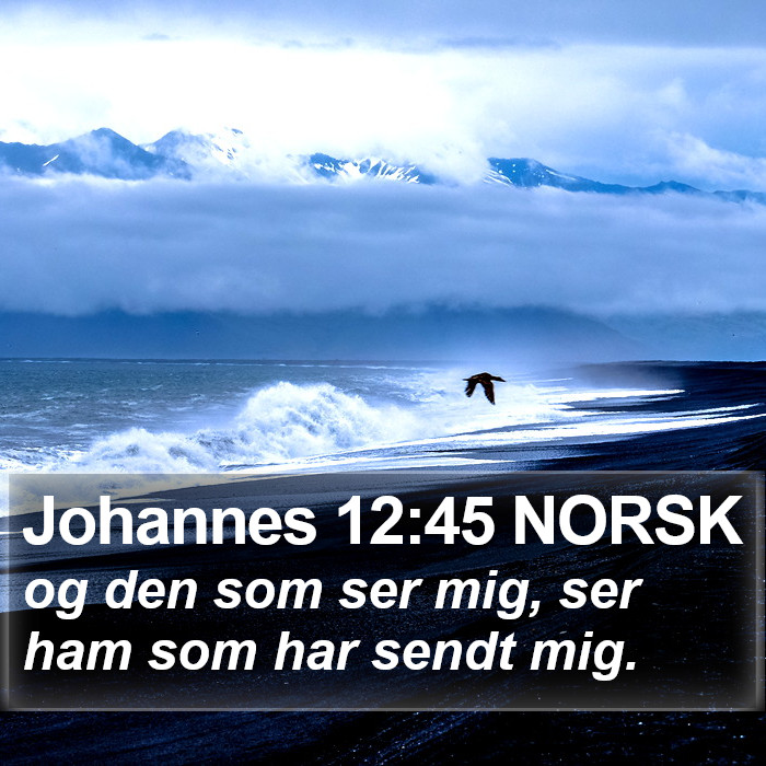 Johannes 12:45 NORSK Bible Study