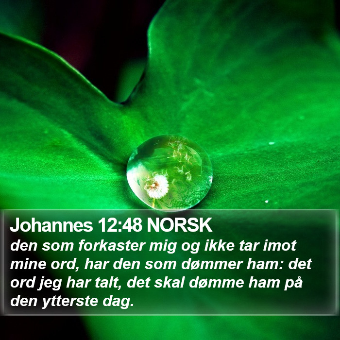 Johannes 12:48 NORSK Bible Study