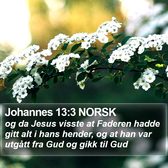 Johannes 13:3 NORSK Bible Study