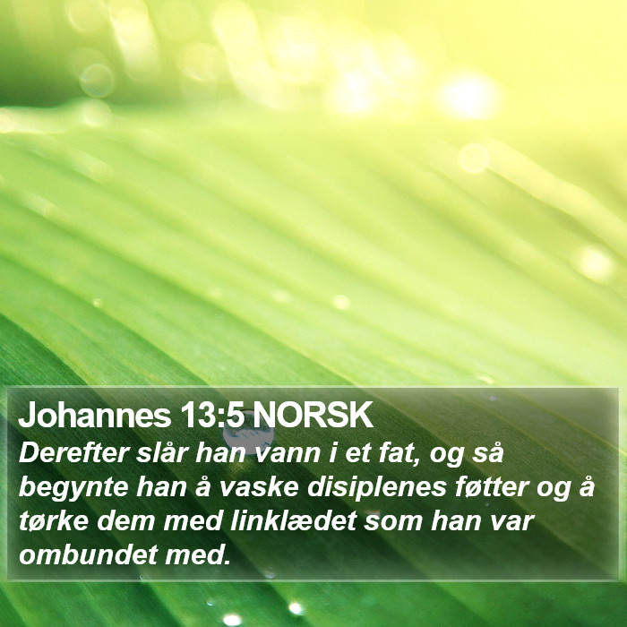 Johannes 13:5 NORSK Bible Study