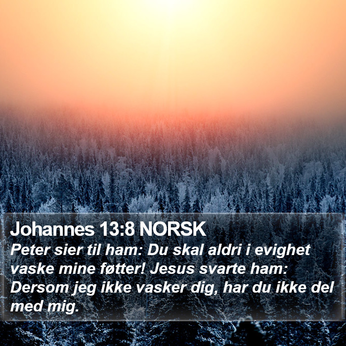 Johannes 13:8 NORSK Bible Study