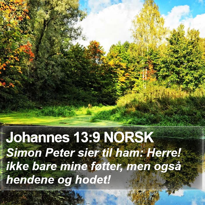 Johannes 13:9 NORSK Bible Study