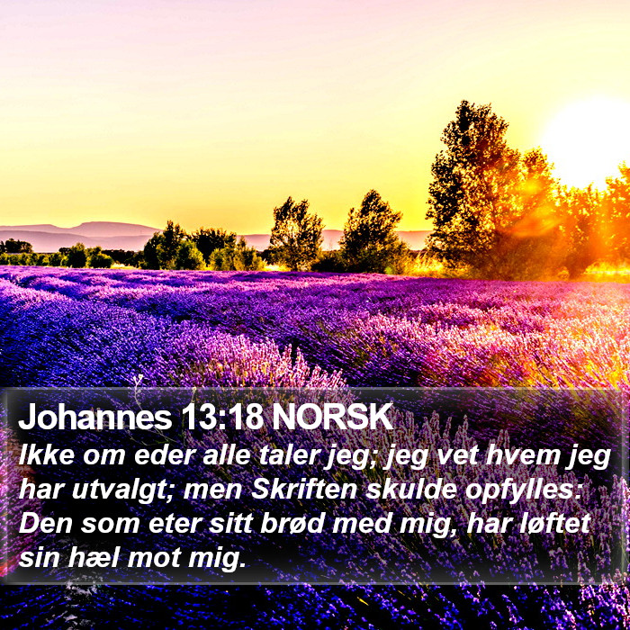 Johannes 13:18 NORSK Bible Study