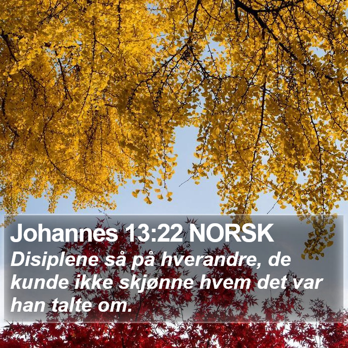 Johannes 13:22 NORSK Bible Study
