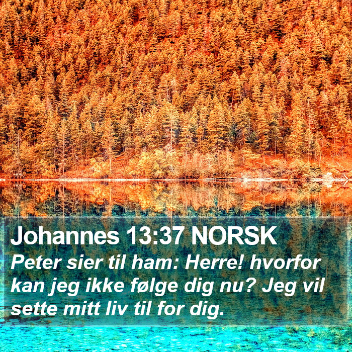 Johannes 13:37 NORSK Bible Study