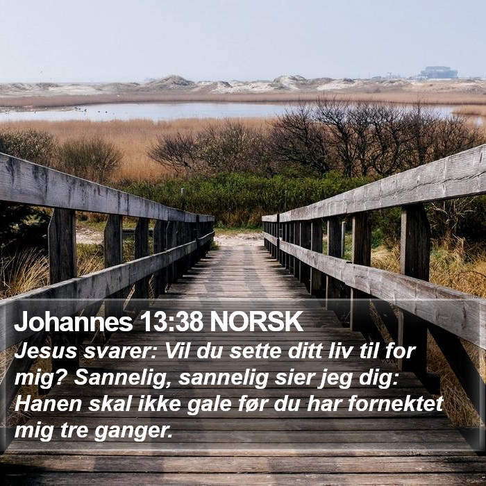 Johannes 13:38 NORSK Bible Study
