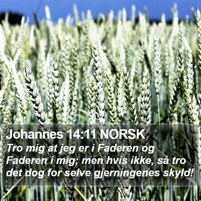 Johannes 14:11 NORSK Bible Study