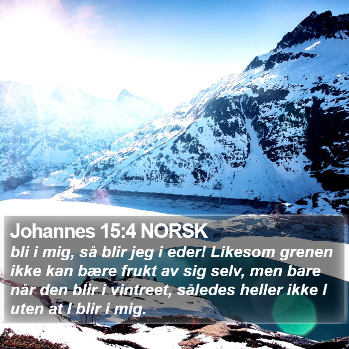 Johannes 15:4 NORSK Bible Study