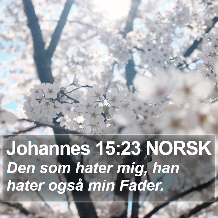 Johannes 15:23 NORSK Bible Study