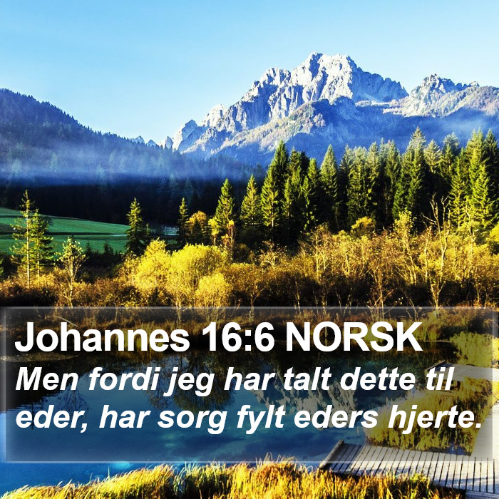 Johannes 16:6 NORSK Bible Study