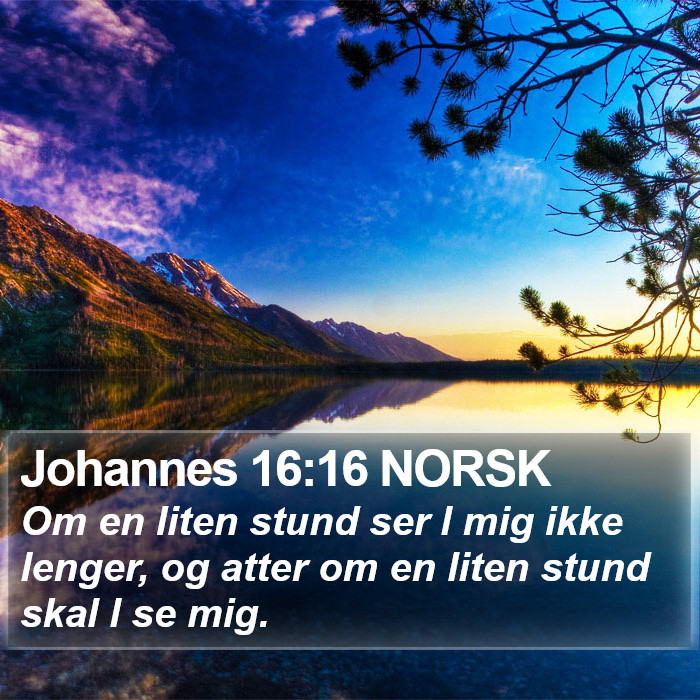 Johannes 16:16 NORSK Bible Study