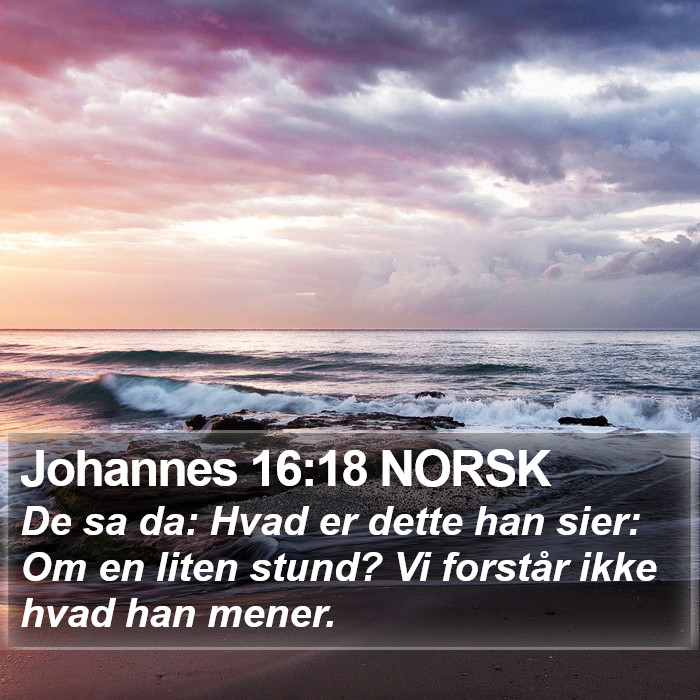 Johannes 16:18 NORSK Bible Study