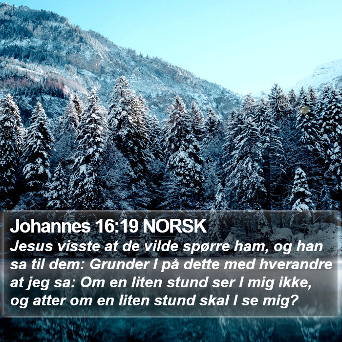 Johannes 16:19 NORSK Bible Study