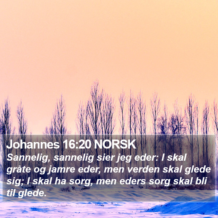 Johannes 16:20 NORSK Bible Study