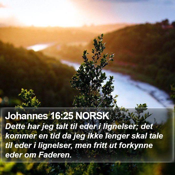 Johannes 16:25 NORSK Bible Study