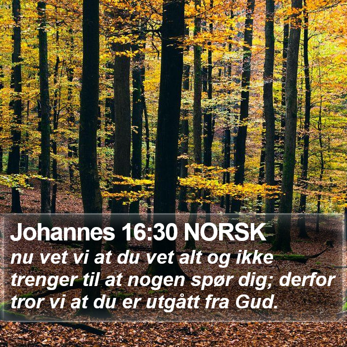 Johannes 16:30 NORSK Bible Study