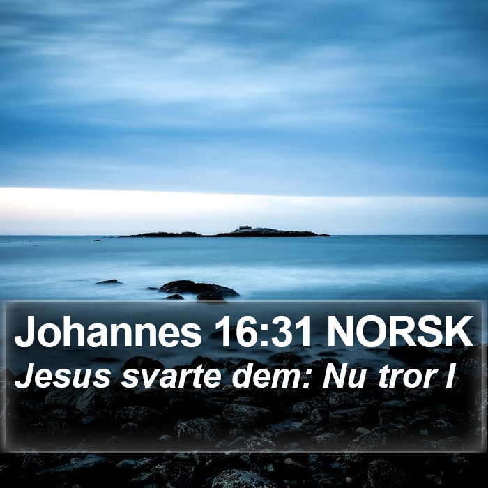 Johannes 16:31 NORSK Bible Study