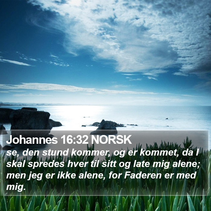 Johannes 16:32 NORSK Bible Study