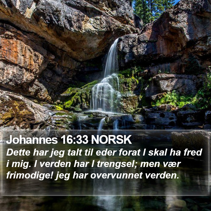 Johannes 16:33 NORSK Bible Study