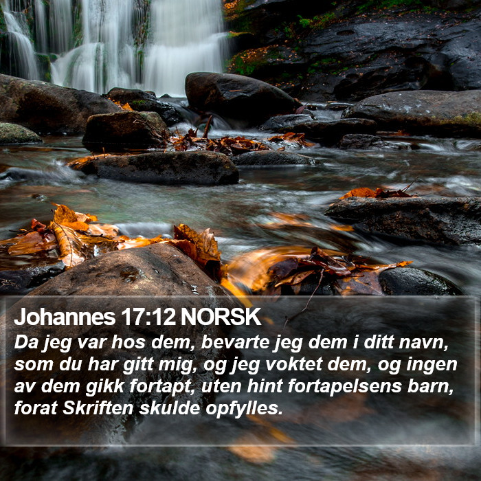 Johannes 17:12 NORSK Bible Study