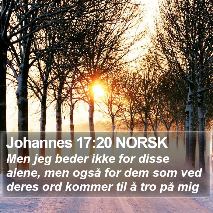 Johannes 17:20 NORSK Bible Study