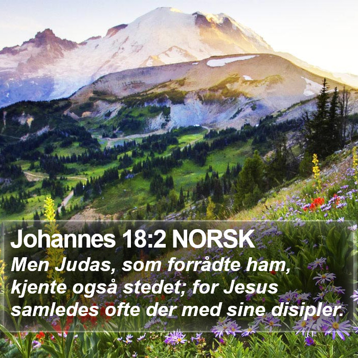 Johannes 18:2 NORSK Bible Study