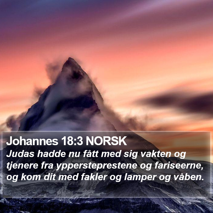 Johannes 18:3 NORSK Bible Study