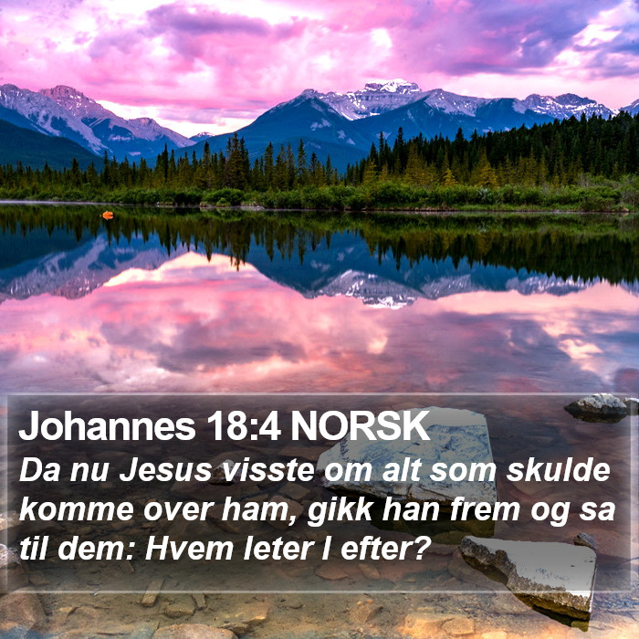 Johannes 18:4 NORSK Bible Study