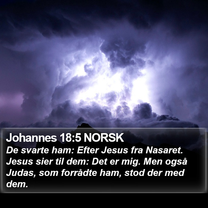 Johannes 18:5 NORSK Bible Study