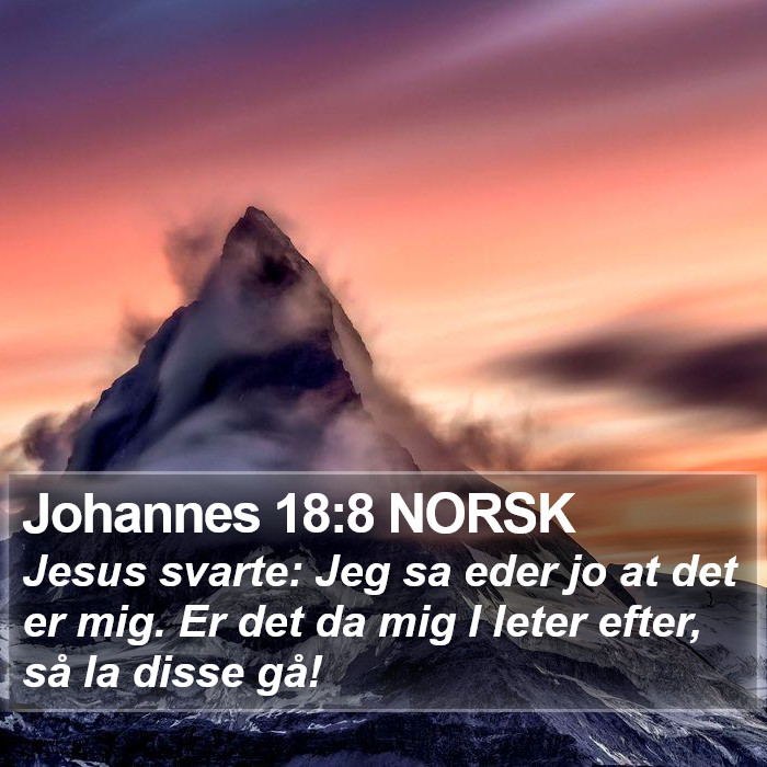 Johannes 18:8 NORSK Bible Study