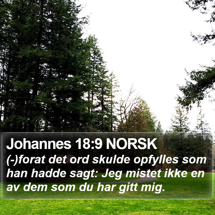 Johannes 18:9 NORSK Bible Study