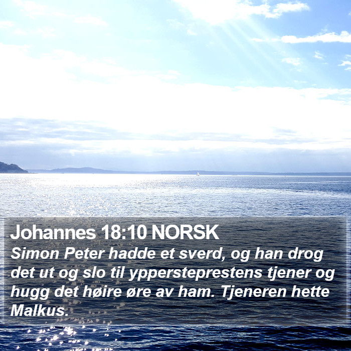 Johannes 18:10 NORSK Bible Study