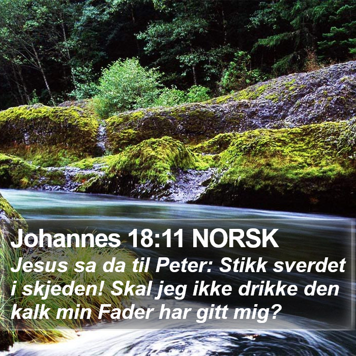 Johannes 18:11 NORSK Bible Study