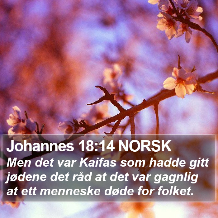 Johannes 18:14 NORSK Bible Study