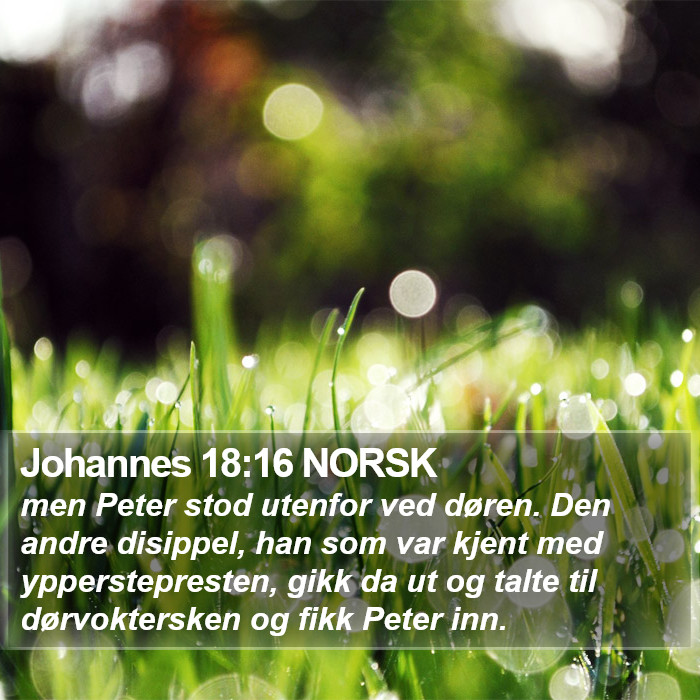 Johannes 18:16 NORSK Bible Study
