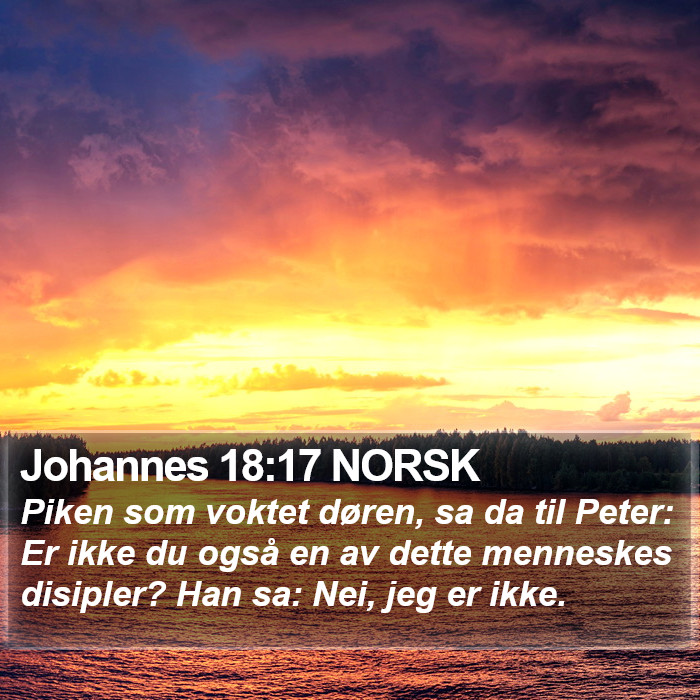 Johannes 18:17 NORSK Bible Study