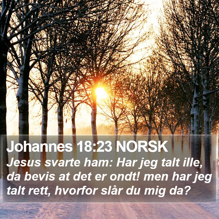 Johannes 18:23 NORSK Bible Study